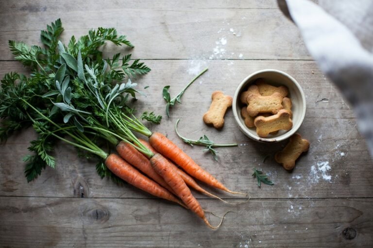 Simple Carrot-Based Dog Treat Recipes for Beginners