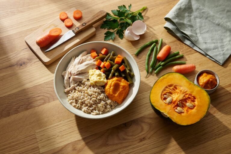 Homemade Dog Food with Vet Approved Ingredients: The Complete Guide