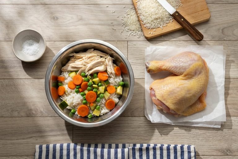 Homemade Dog Food on a Budget