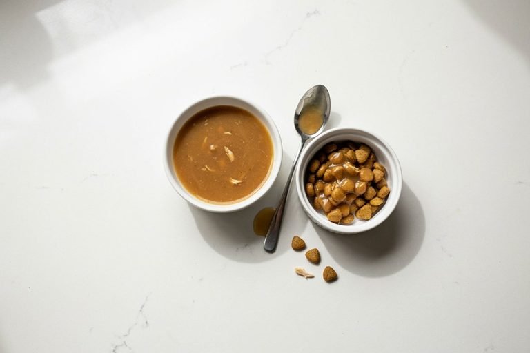 Homemade Dog Gravy